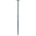 Eurotech Tallerkenskruer FZB TX30 6,0x120 (100) (578013)