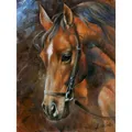 Diamond Dotz Pferd (6030-40041)
