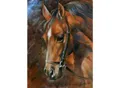 Malen nach Zahlen Diamond Painting Pferd 40x30 cm