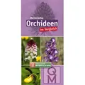 Heimische Orchideen im Vergleich - 10er-Set / Quelle + Meyer / Taschenbuch