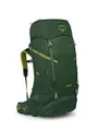 Osprey Ace 50 Green Canopy OS