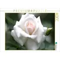 CALVENDO Puzzle Rose 'Gruß an Aachen' 2000 Teile Lege-Größe 90x67cm Foto-Puzzle für glückliche Stunden