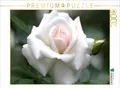 CALVENDO Puzzle Rose 'Gruß an Aachen' | 2000 Teile Lege-Größe 90x67cm Foto-Puzzl