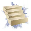 PROREGAL® Versandkarton 2-wellig LxBxH 1200x600x310mm belastbar bis 30kg Postversand (4 Stück), Karton LxBxH 120x60x31cm Kartonage Faltkarton Pappkiste braun