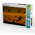 Kraniche an der Ostsee (Puzzle)