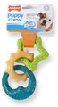 Nylabone Welpe kauen Beetren