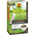 Saat Trocken-rasen 1kg Für 40m2 - Compo