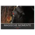 Magische Momente - Pferde Horses Caballos (Wandkalender 2026 DIN A3 quer) CALVENDO Monatskalender von Petra Eckerl Tierfotografie www.petraeckerl.com/