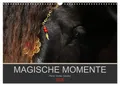 Petra Eckerl Tierfotografie Www. Petraeckerl. Com | Magische Momente - Pferde...