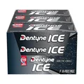 Dentyne Arctic Chill Kaugummi zuckerfrei, 9 Päckchen (insgesamt 144 Stück)