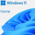 Microsoft Windows 11 Home 64Bit, DSP/SB, ESD (multilingual) (PC)