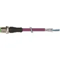 Murrelektronik M12-Stecker gerade 7000-14541-7980500