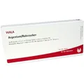 Argentum/rohrzucker Ampullen 10X1 ml