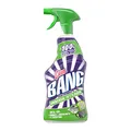 CILLIT BANG Kraftreiniger Universal Fettlöser – 100% kraftvoll gegen Fett – 1 x 750 ml