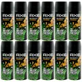 Axe Deo Body Spray Wild Mojito 12x 150ml bis 48H Stunden Schutz 0% Aluminiumsalz