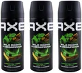 Axe WILD MOJITO Deodorant Bodyspray 3 x 150ml *New Design* 48H Schutz 0% Alu