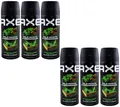Axe WILD MOJITO Deodorant Bodyspray 6 x 150ml *New Design* 48H Schutz 0% Alu