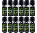 Axe WILD MOJITO Deodorant Bodyspray 12 x 150ml *New Design* 48H Schutz 0% Alu
