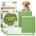 Pogi Trainingspads für Hunde – 60 × 90 cm, extra groß, umweltbewusst, für mittelgroße bis große Hunde – 40 Stück