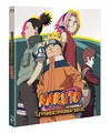 Naruto La Pelicula 2 La leyenda de la Piedra de Gelel BluRay (SP)