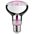 Paulmann LED-Pflanzenlampe Wachstum 230 V E27 6.5 W Bernstein 1 St.