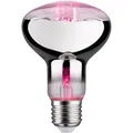 Paulmann LED PFLANZENLAMPE E27 6,5W / PAULMA GROW GREEN R80 28733