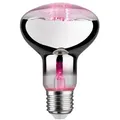 LED Plant R80 Pflanzen Reflektor Grow Green Edition E27 Paulmann 28733