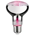 Grow Green Edition Filament 230V LED Reflektor E27 R80 R80 200lm 6,5W 1300K