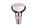 Paulmann LED-Leuchtmittel Paulmann LED Grow Green Pflanzenlampe R80 6,5 W, Nicht dimmbar
