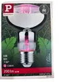 Paulmann LED Grow Green Pflanzenlampe Ø 80 mm, 6,5 W, 200 lm, E27, 1300 K