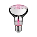 LED-BIRNE 6,5W GROßE E27 SOCKEL FÜR GRÜNE PFLANZEN 287.33