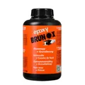 Brunox Epoxy Rostumwandler Rostsanierer Grundierung Entferner Rostentferner 1L