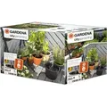 city gardening Urlaubsbewässerung (o. Behälter)