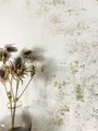 NEWROOM Vliestapete Creme Gold Betonoptik Industrial Glamour Wohnzimmer Edel