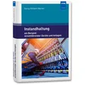 Instandhaltung am Beispiel stromführender Geräte und Anlagen von Georg-Wilhelm Werner / Vde Verlag GmbH / Taschenbuch