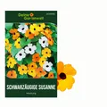Schwarzäugige Susanne Mischung Samen - Thunbergia alata - Blumensamen