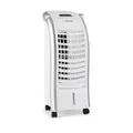 Maxfresh Ventilator Luftkühler 4-in-1 6L-Wassertank 55W Timer-Funktion Weiß
