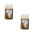 Stiefel Broncho-Plus | Doppelpack | 2 × 1 l | Ergänzungsfuttermittel für Pferde | Mit Bronchialkräutern