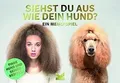 Siehst du aus wie dein Hund?: Ein Memo-Spiel von not spe... | Buch | Zustand gut