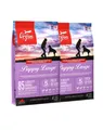 ORIJEN Puppy Large 22,8 kg (2 x 11,4 kg)