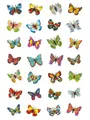 HERMA Etikett Herma 6819 Sticker MAGIC Schmetterlinge Glitterfolie