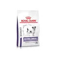 Royal Canin Mature Consult Small Dog | 1,5 kg | Alleinfuttermittel für ältere kleine Hunde | Ab dem 8. Lebensjahr | Vitalität und geistige Fitness