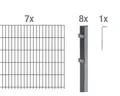 Doppelstabmatten-Set ALBERTS Typ 6/5/6 1400 x 100 cm anthrazit