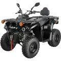 Quad Mikilon Hammer 200cc T3B 1G10 Automatik Straßenzulassung - Schwarz