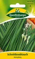 SCHNITTKNOBLAUCH "MEHRJÄHRIG"   Samen  Quedlinburger
