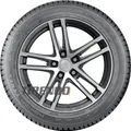 Nokian Seasonproof 1 195/55 R16 91V XL, mit Felgenschutz (MFS)