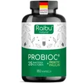 Probiotika Kulturen Komplex, 25 Bakterienstämme + Inulin - 300 Mrd. KBE/g RAIBU