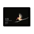 Microsoft Surface Go 10 128GB SSD [Wi-Fi + 4G] silber