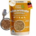 HappyFarms Getrocknete Mehlwürmer – 1kg proteinreiches Naturfutter für Wildvögel, Igel & Nager