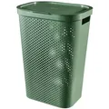 Wäschekorb Wäschebehälter Wäschesammler grün 60L aus Kunststoff Wäschebox